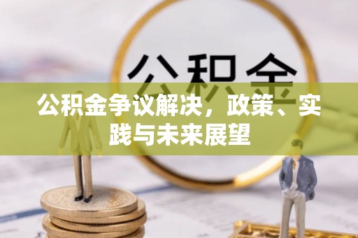 临清公积金争议解决，政策、实践与未来展望