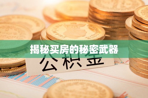 临清揭秘买房的秘密武器