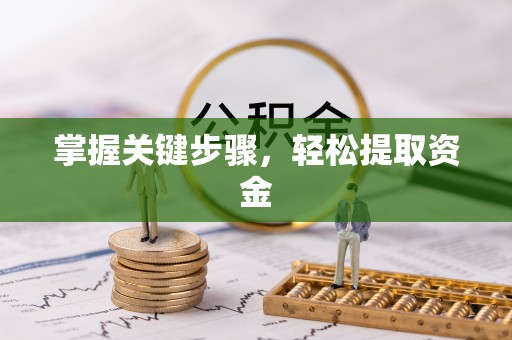 临清掌握关键步骤，轻松提取资金