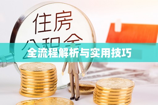 临清全流程解析与实用技巧