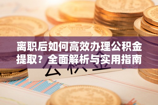 临清离职后如何高效办理公积金提取？全面解析与实用指南