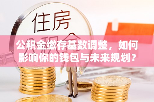 临清公积金缴存基数调整，如何影响你的钱包与未来规划？