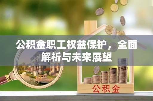 临清公积金职工权益保护，全面解析与未来展望
