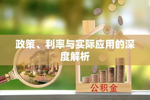 临清政策、利率与实际应用的深度解析