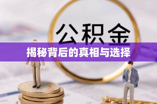 临清揭秘背后的真相与选择