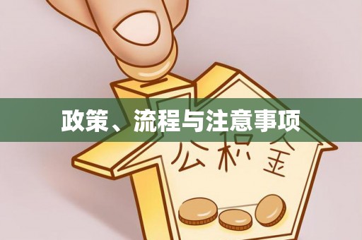 临清政策、流程与注意事项