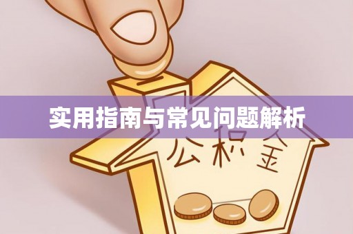 临清实用指南与常见问题解析