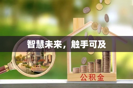临清智慧未来，触手可及