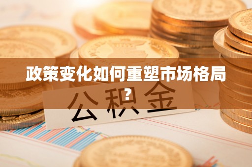 临清政策变化如何重塑市场格局？