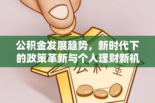 临清公积金发展趋势，新时代下的政策革新与个人理财新机遇