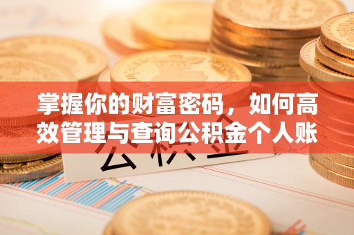 临清掌握你的财富密码，如何高效管理与查询公积金个人账户信息