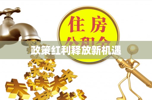 临清政策红利释放新机遇