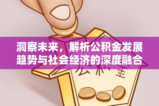 临清洞察未来，解析公积金发展趋势与社会经济的深度融合