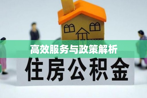 临清高效服务与政策解析
