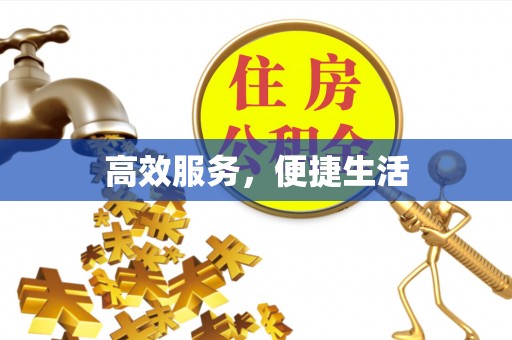 临清高效服务，便捷生活