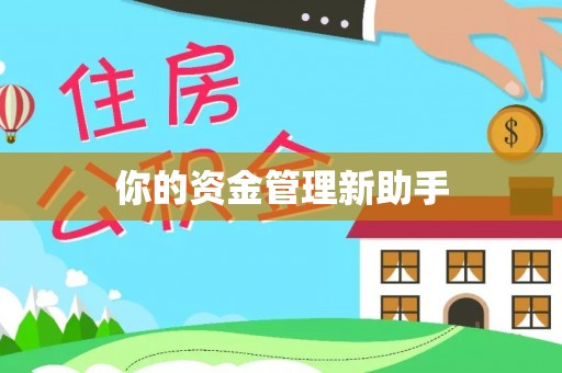 临清你的资金管理新助手