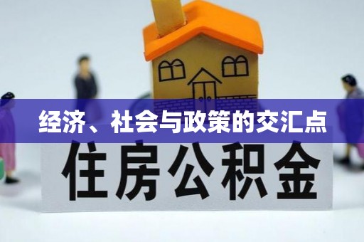 临清经济、社会与政策的交汇点