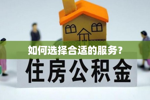 临清如何选择合适的服务？