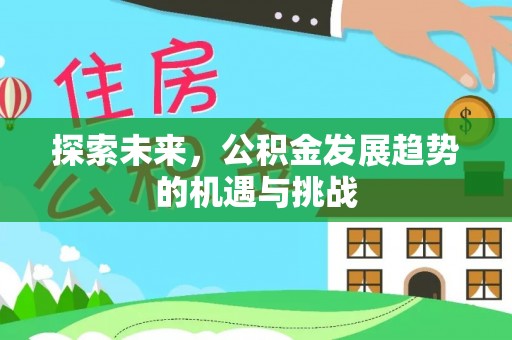 临清探索未来，公积金发展趋势的机遇与挑战