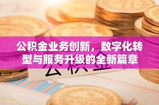 临清公积金业务创新，数字化转型与服务升级的全新篇章