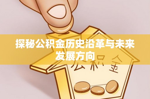 临清探秘公积金历史沿革与未来发展方向