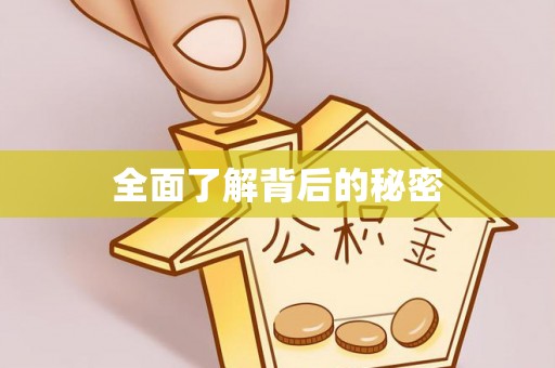 临清全面了解背后的秘密