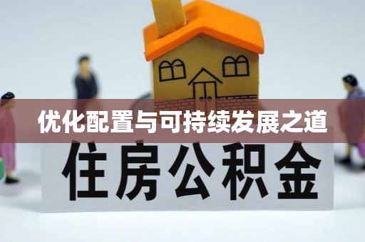 临清优化配置与可持续发展之道