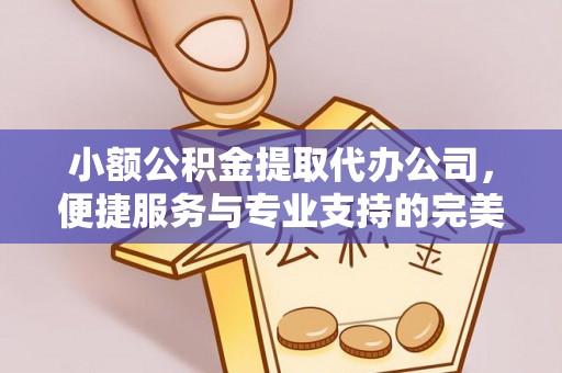 临清小额公积金提取代办公司，便捷服务与专业支持的完美结合