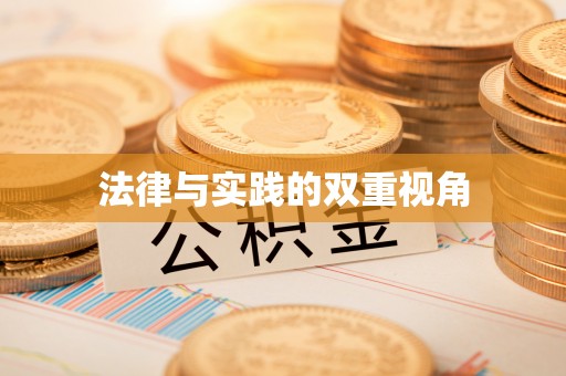 临清法律与实践的双重视角