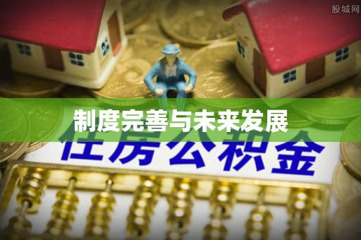 临清制度完善与未来发展