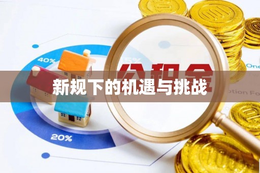 临清新规下的机遇与挑战