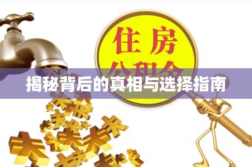 临清揭秘背后的真相与选择指南