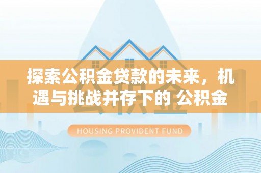 临清探索公积金贷款的未来，机遇与挑战并存下的 公积金贷款风险防控