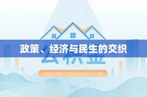 临清政策、经济与民生的交织