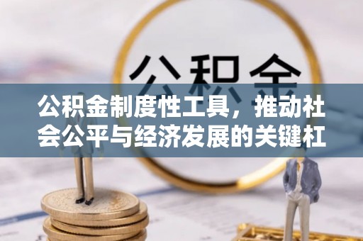 临清公积金制度性工具，推动社会公平与经济发展的关键杠杆