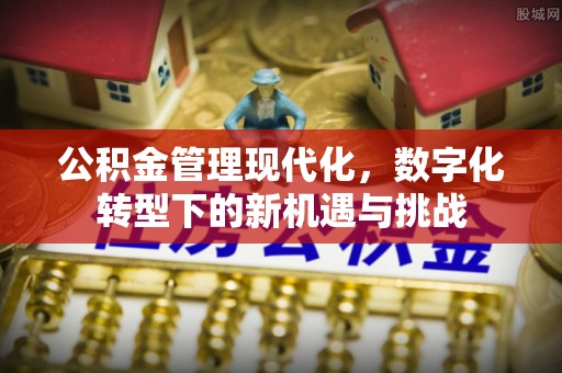 临清公积金管理现代化，数字化转型下的新机遇与挑战