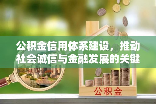 临清公积金信用体系建设，推动社会诚信与金融发展的关键桥梁
