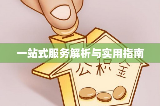 临清一站式服务解析与实用指南