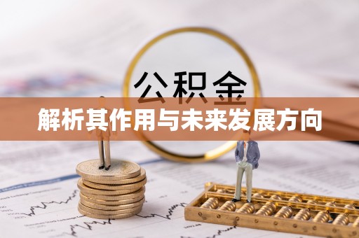 临清解析其作用与未来发展方向
