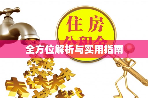 临清全方位解析与实用指南