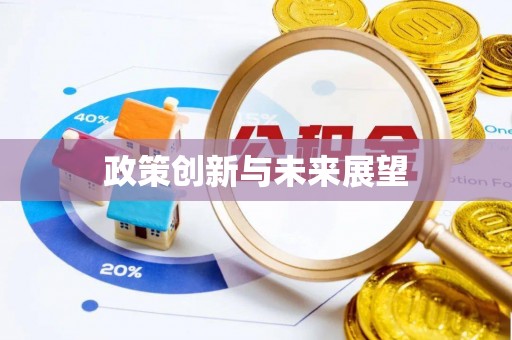 临清政策创新与未来展望