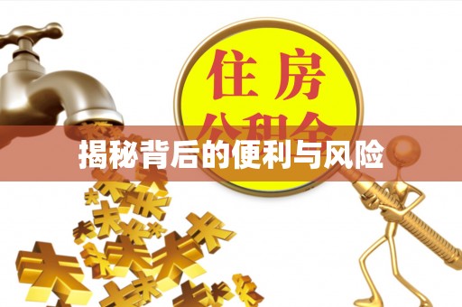 临清揭秘背后的便利与风险